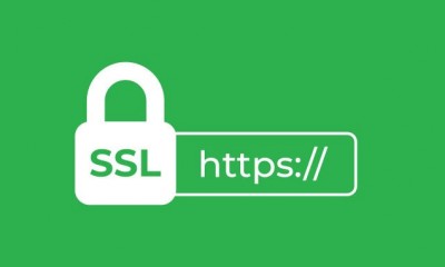 Güvenliğin Önemi ve SSL Sertifikaları