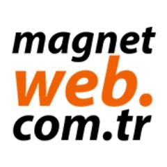 Adana Mag-Net Web Tasarım Şirketi